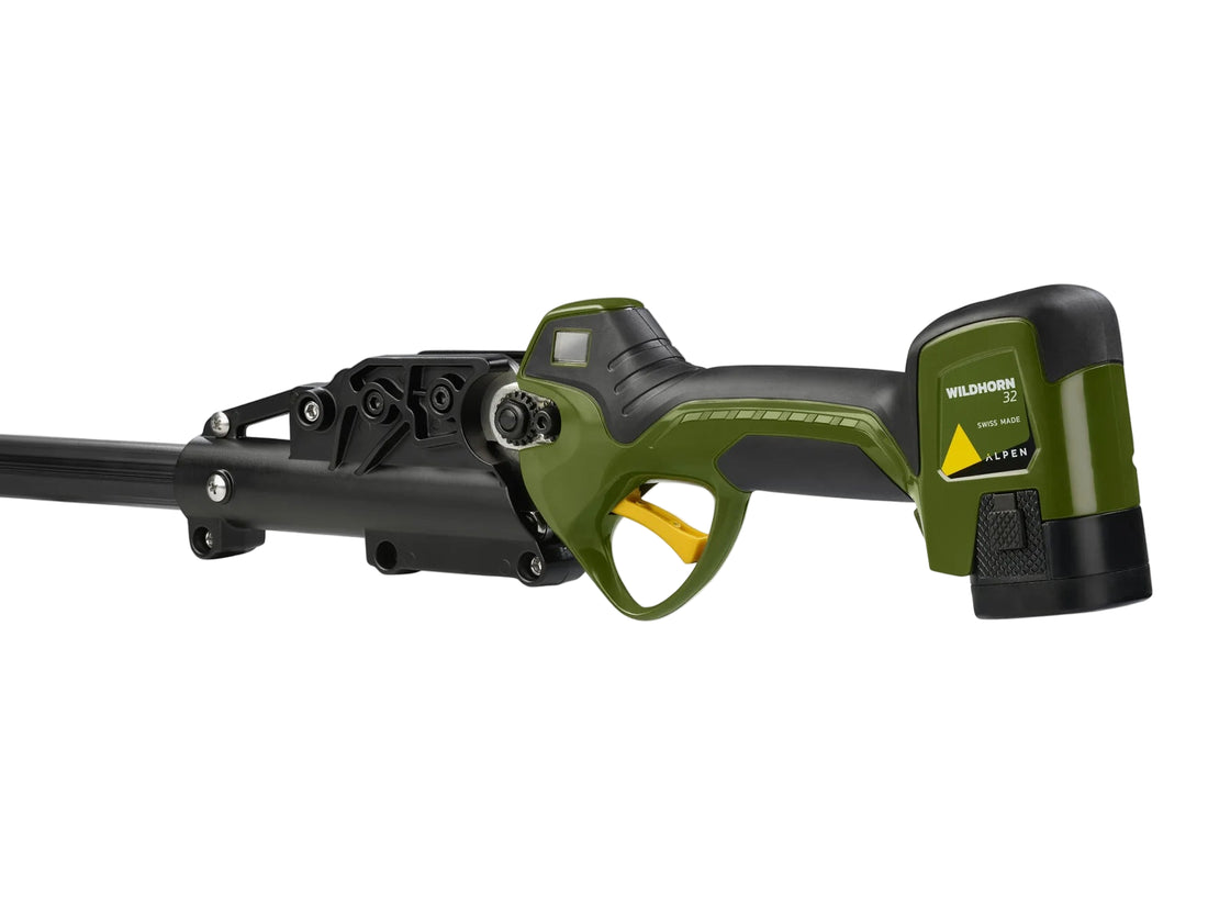 Perche Wildhorn 32/100