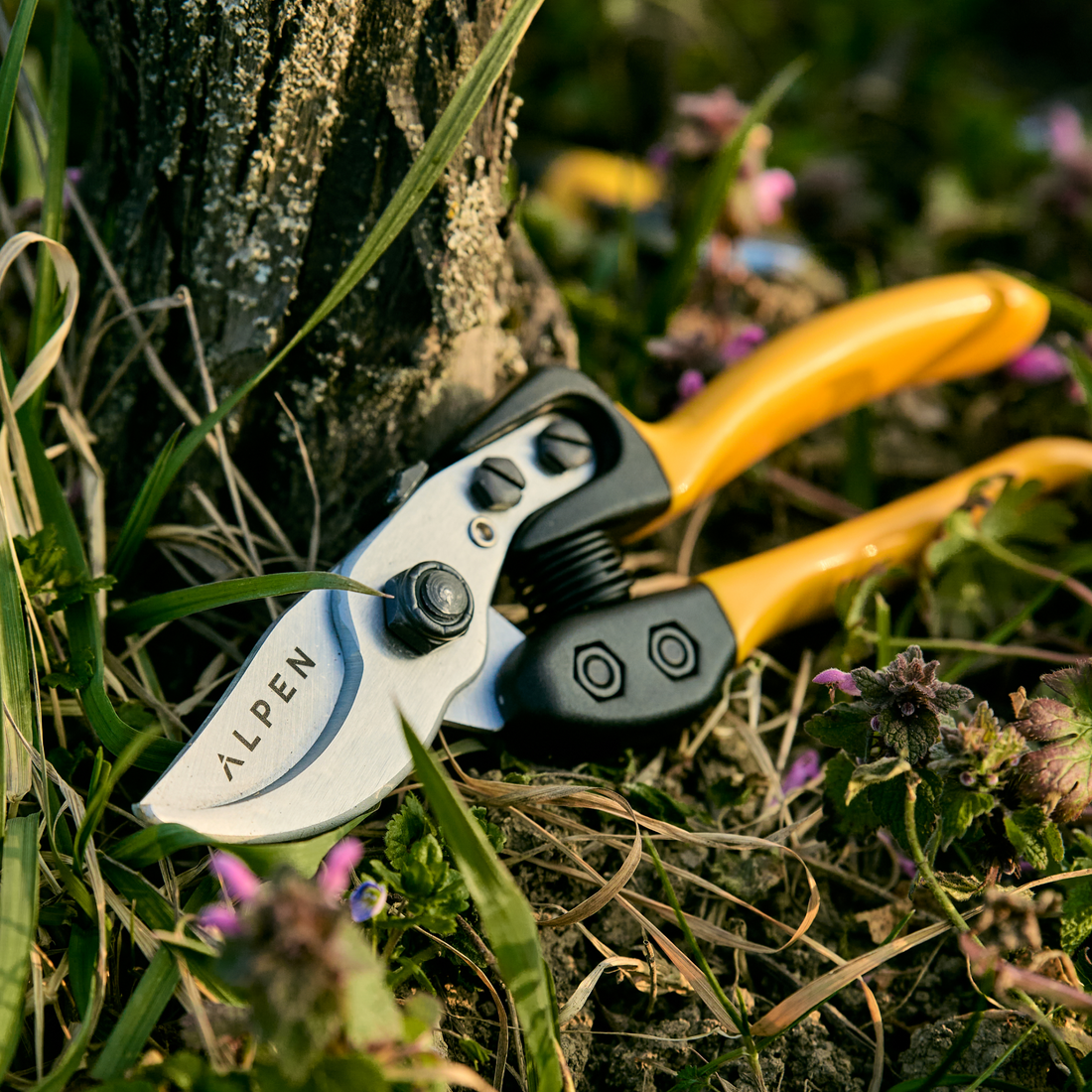 Bypass-, Baum-, Reb- und Gartenschere Gelbhorn 150