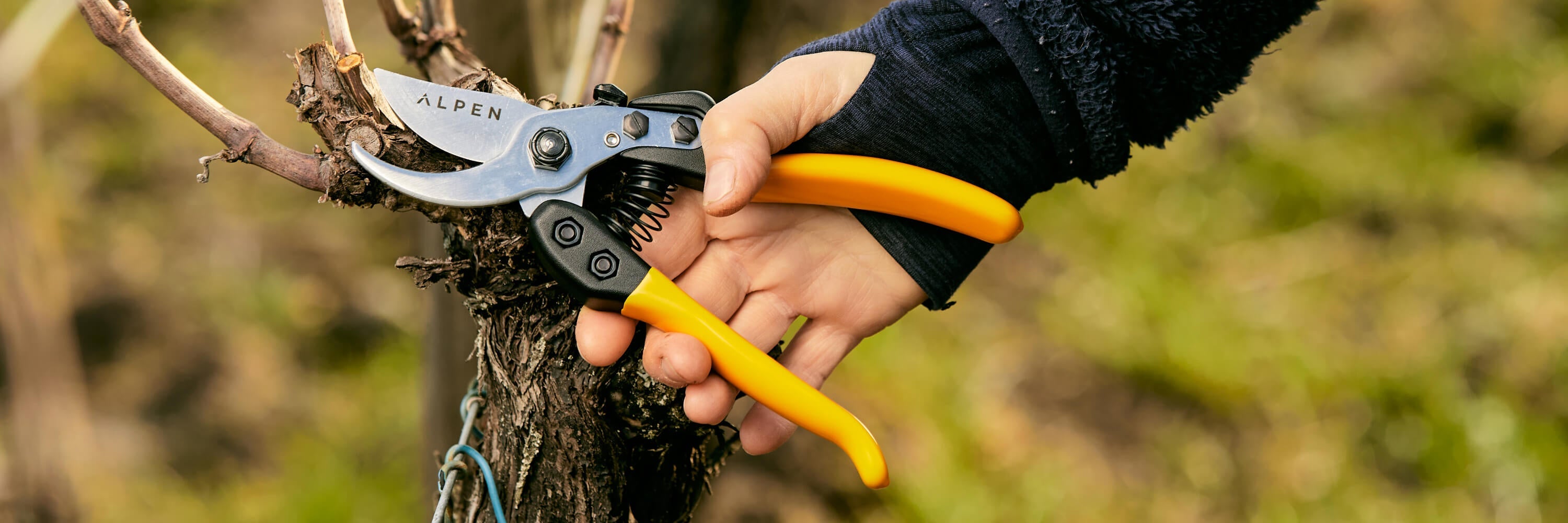 Pruning shears